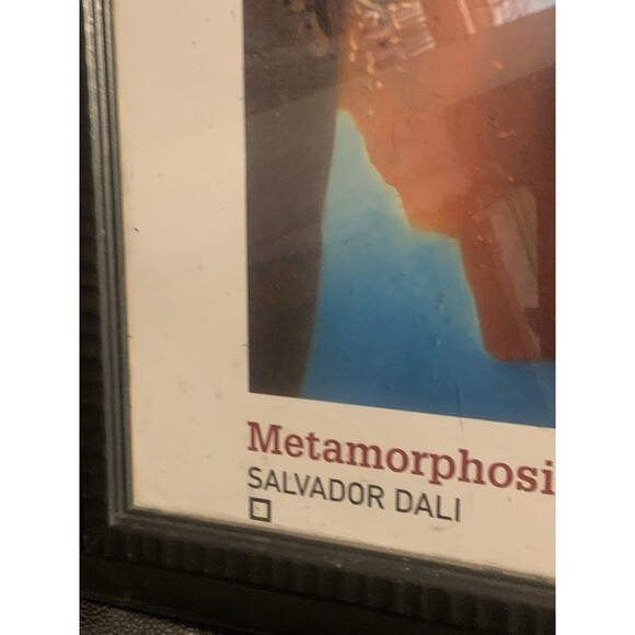 DALI 'Metamorphosis Of Narcissus,1936' RARE Framed Authentic 1990 Art Print 33” - Picture 9 of 10